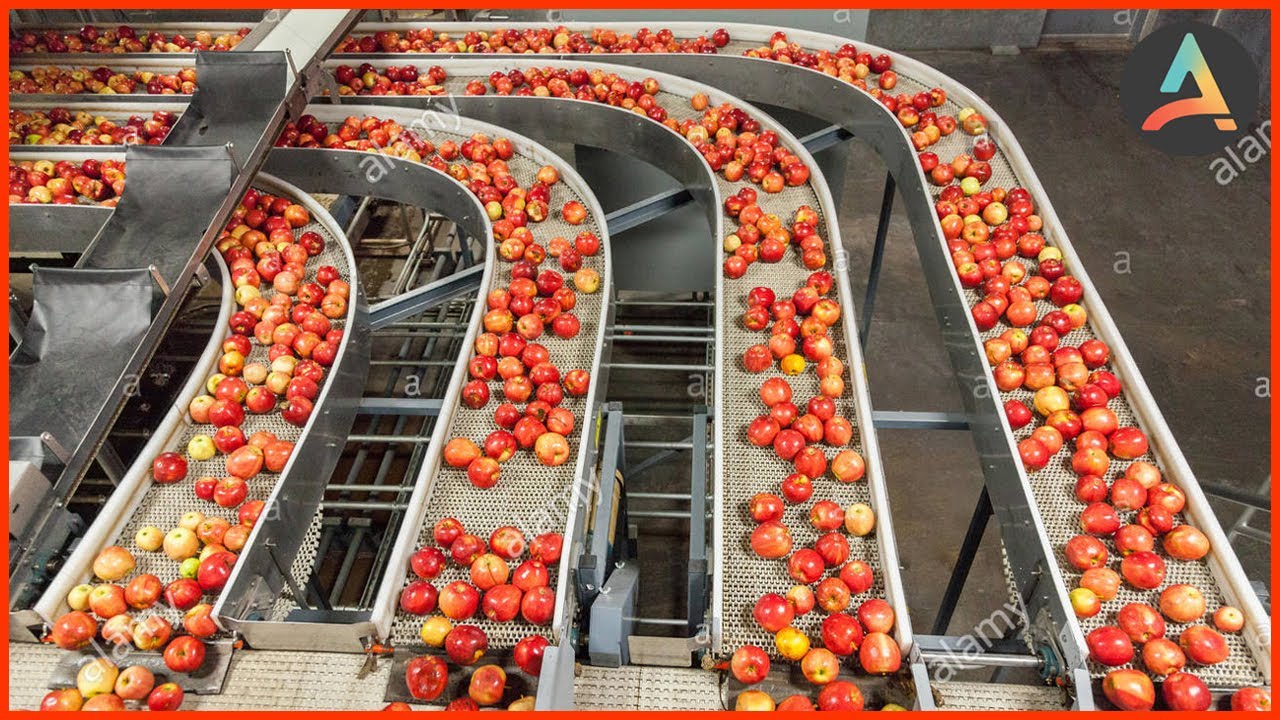 Amazing Food Industry Processing Machines YouTube