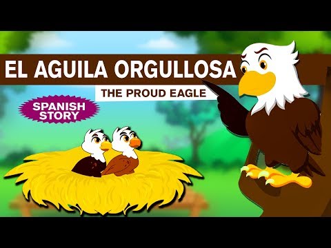 Video: ¡Las águilas son pájaros orgullosos