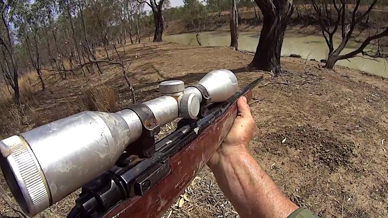 Hunting pigs on foot and from a kayak. - YouTube