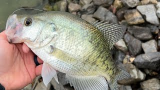 Crappie Can't Resist This Lure!