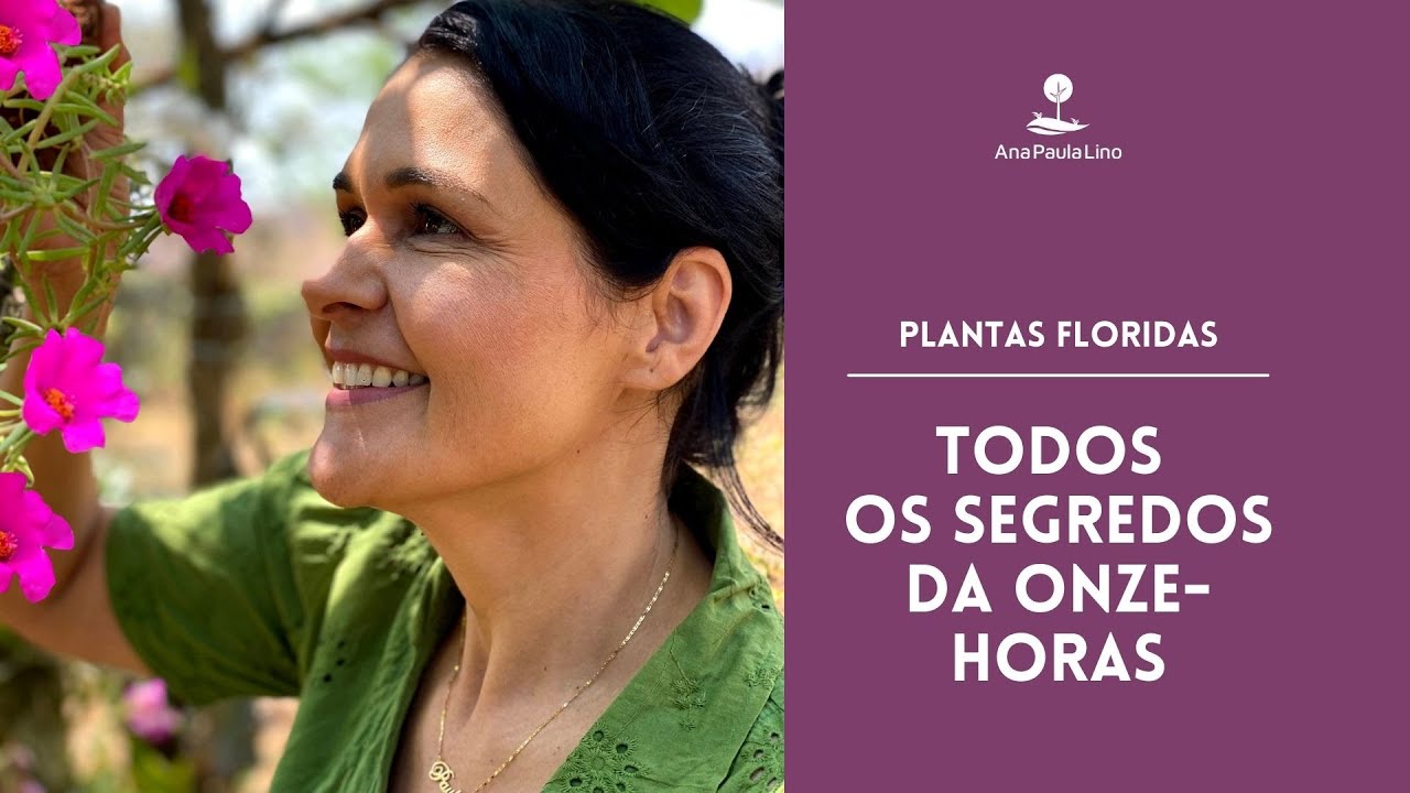 JARDINAGEM: Como cuidar de Onze-horas