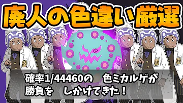 ポケモンウルトラサン ムーンubたちの色違いに挑戦 持ってる実況者となるのか Poketmonsterurtlasun Moon Mp3
