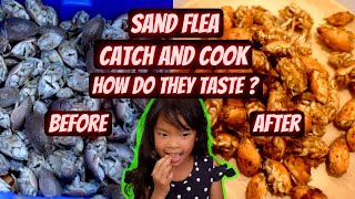 Sand Fleas Catch and Cook. How do they taste? 
