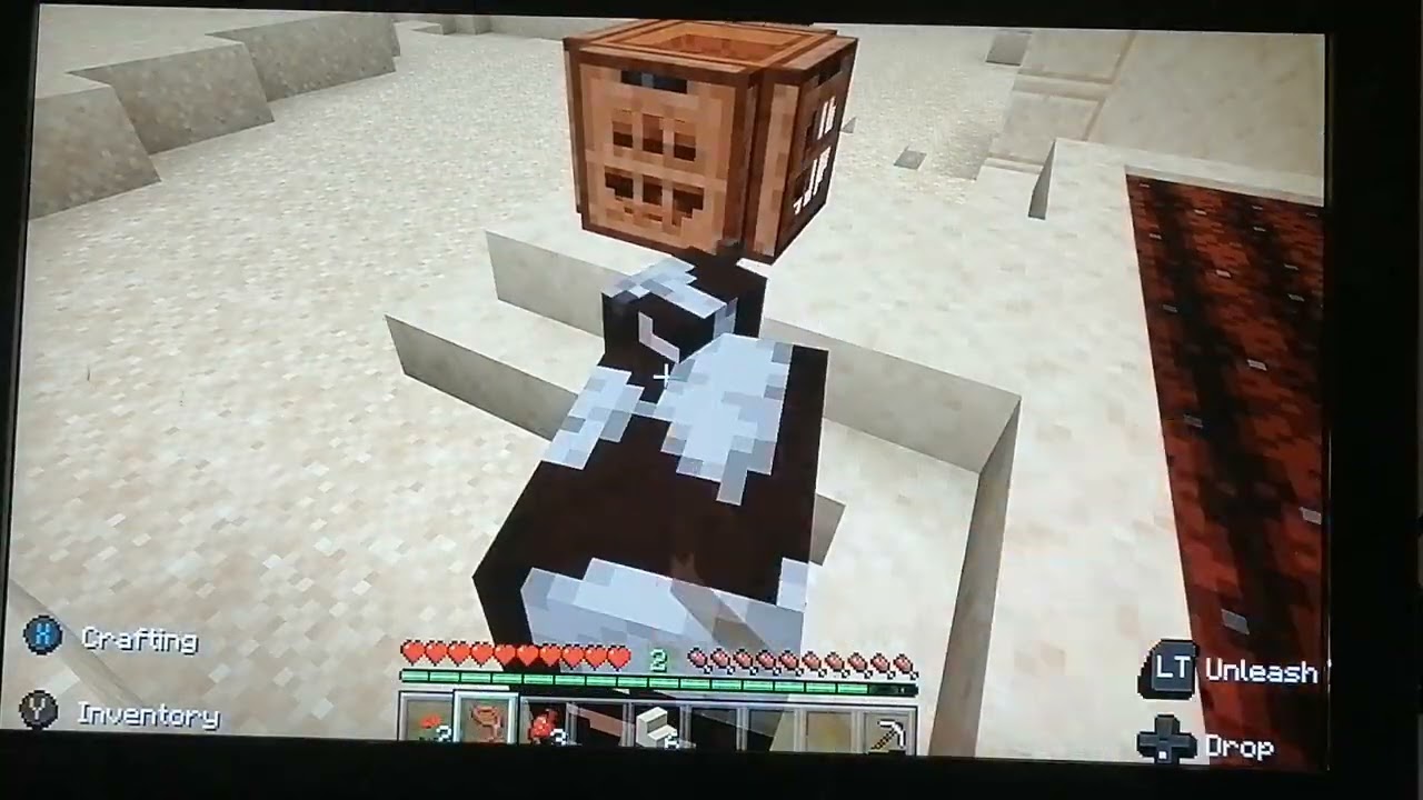 Minecraft on my new Xbox (Esme)