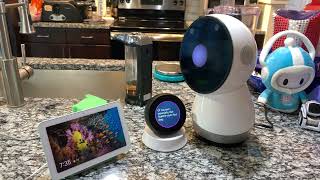 Jibo & Friends Flashback - Home Run