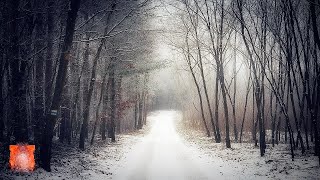 [No Copyright Music] HORROR THEME 2 | CREEPY BACKGROUND MUSIC | Royalty Free Music |