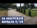 На Набережній у Кропивницькому вирвали 15 туй