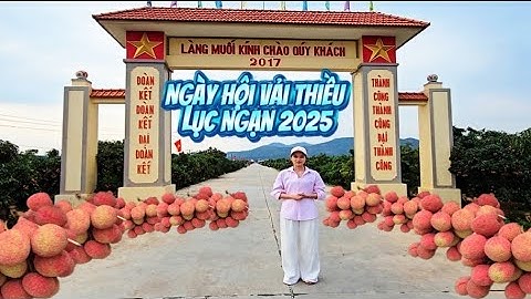 Ngày Hội Vải Thiều Lục Ngạn Chuẩn Bị Thế Nào l Núi Đồi Lục Ngạn