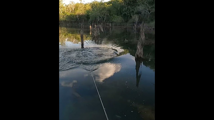 I ALMOST HAD A HEART ATTACK FROM THE SCARES. MY HEART IS RUNNING. #fishing