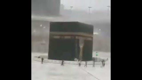 تلاوة خاشعة جميلة جدا بصوت الشيخ ماهر المعيقلي // حالات واتس قرآن كريم