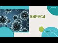 Давай Дружить - Вирусы и бактерии