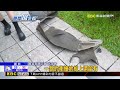 連轟16槍！ 鬧區警匪追逐 2警逮毒犯受傷@newsebc