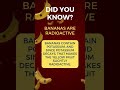 #banana #radioactive #didyouknow #didyouknowfacts #facts #information #knowledge