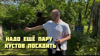 Расцвели Пивоны 😎 Ленивые орешки😋 #германия 22. Mai 2026