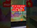 6ft se vieja marble fish jump kr gya 😱 #vieja #shortsviral #viralvideo #ytshorts #shorts #trending