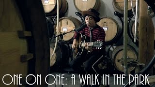 ONE ON ONE: Pete Molinari - A Walk In The Park February 28th, 2015 City Winery New York