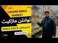 Ali bhai birds  price update  tollinton market lahore  quality birds