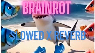 Brainrot Rap (Slowed + Reverb) Resimi
