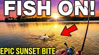 I Thought This Creek Was Dead... Then I Caught My NEW P.B!