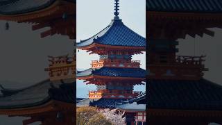 beautiful ❤️ Japan