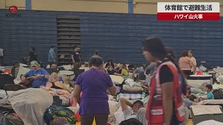 【速報】体育館で避難生活 ハワイ山火事