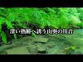 深い爆睡眠へ誘う深い山奥の川音