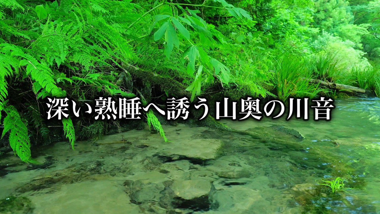 深い爆睡眠へ誘う深い山奥の川音