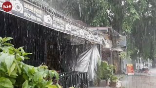 Walk in Super Heavy Rain Strong Wind in our Village