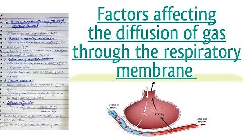 Factors affecting the diffusion of gas through the respiratory membrane l learn with aroosa waheed