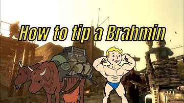 Fallout 3/New Vegas how to tip a Brahmin