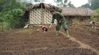Animal Care, Vegetable Growing, Cassava Harvesting, Gardening | EP. 06