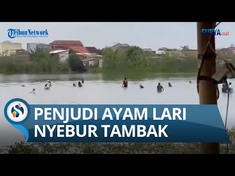 Video: Apakah itu bandar? Jom ketahui