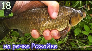 Рыбалка на маленькой речке на поплавок часть 18, ловля на течении и в затишке, съёмка под водой Fish