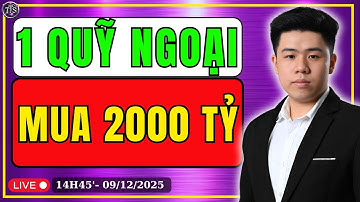 Dự Báo Sóng Số 147/2025: 1 TIN ĐỒN HẤP DẪN - 1 QUỸ NGOẠI BƠM MUA KHỦNG 2000 TỶ | Tiến Thành Stock