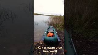 🙂🏕️✌️БЛЕСНА, КОТОРЫЕ Я ЖДАЛ!)) Беларуская рыбалка "без излишеств")) #браславщина #беларусь #Рыбалка#