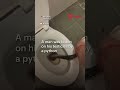 🐍 Man in Thailand kills python that bit him on the testicles
