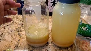 Homegrown Fresh Lemonade / How To Make Old Fashioned, Best Tasting, Easiest Limeade or Lemonade! @JuicingGardener