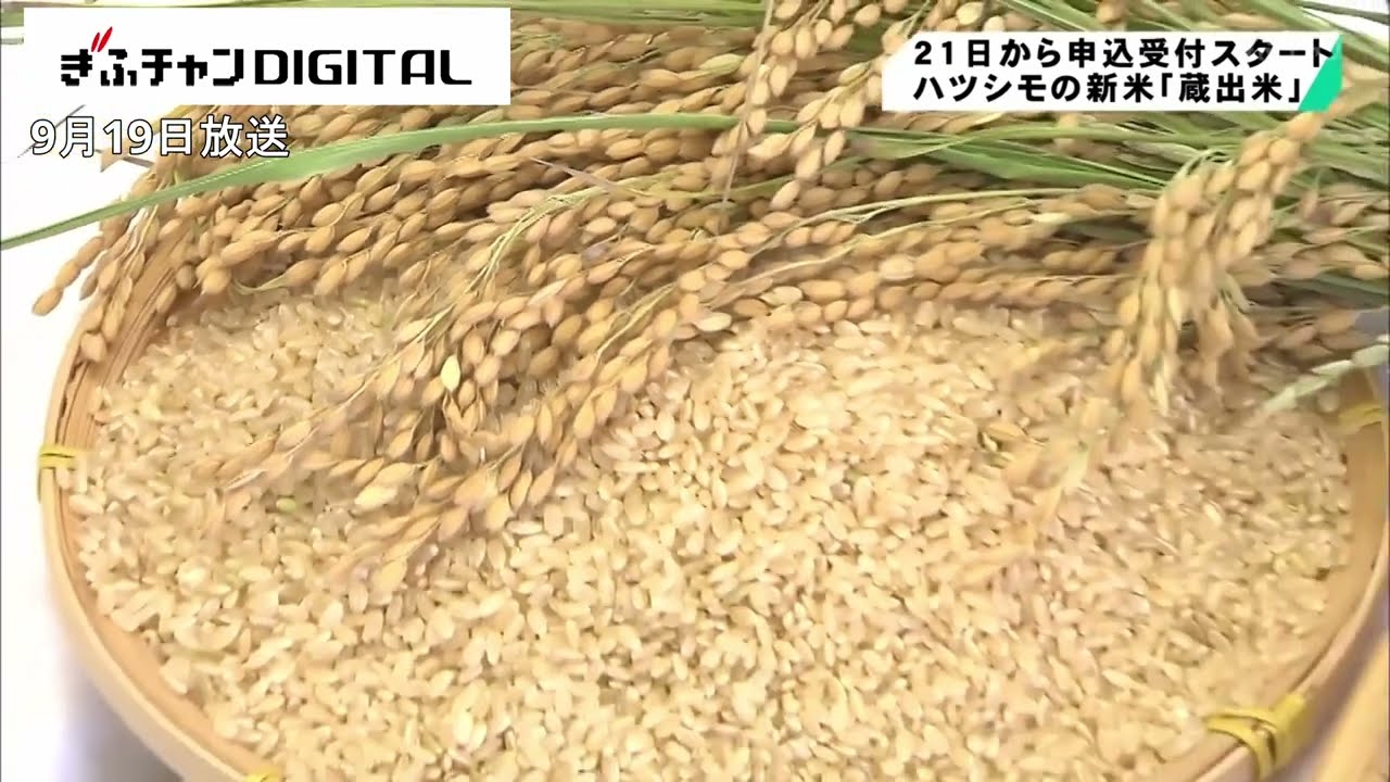 ハツシモの新米「蔵出米」申込受付 「1年間安心してお米を購入」 JA 