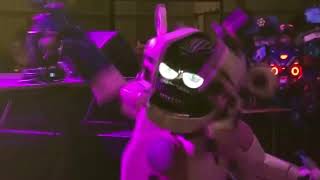 Cosplay Capytal Goes To Howlers 2024