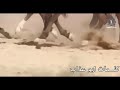 ياهبوب الريح خذلي هاي الوصيه وسلم على الشجعان امار الموالي و هاذا قول ابن ديوان