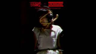 Crowhurst and Intestinal Disgorge (Collaboration) (2015 - Experimental Grindcore / Noise)