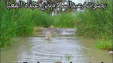 تلاوة مختارة من صلاة الفجر-القاريء عبدالسلام بن عبده المعبأ