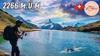 Fishing for NAMAYCUSH & Co in an Alpine Mountain Lake! | FishFizzle