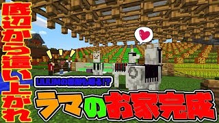 【ぽこなかくら＃143】ラマの将来をよりよいものに！ラマ小屋完成！【マインクラフト】