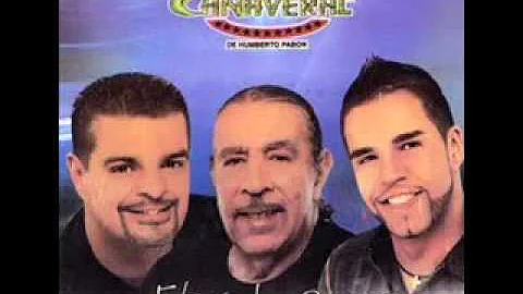 Grupo caaveral tiene espina el rosal
