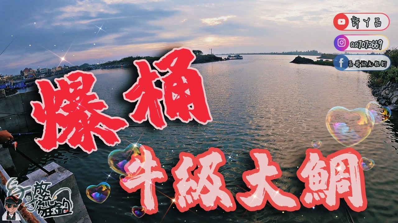 活魚放流 再不起眼的小港口放流 一不小心就爆桶 生態魚種豐富 漁拓HR耀炎500XH大物竿 金里淇牛車輪 前打/路亞/放流/磯釣