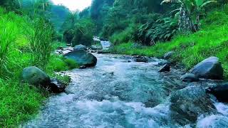 {Gentle Mountain River Sounds Bukit Menoreh for Relaxation Sleep Meditation Yoga}