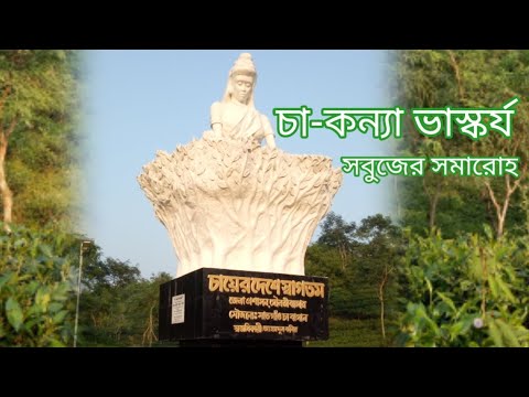 চা কন্যা ভাস্কর্য। Cha er desh sremongal চা কন্যা ভাস্কর্য। Cha er desh sremongal