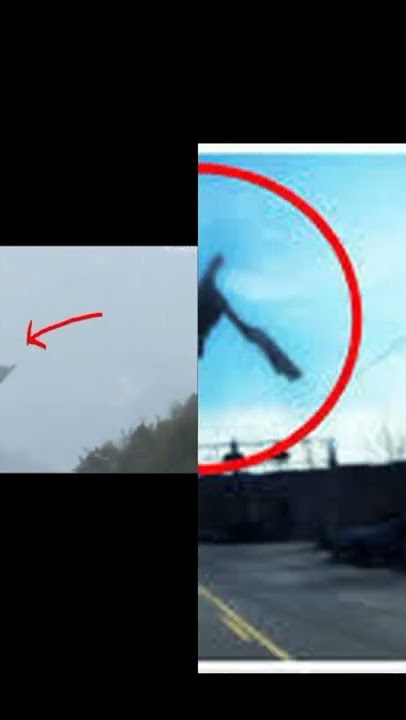 penampakan naga asli