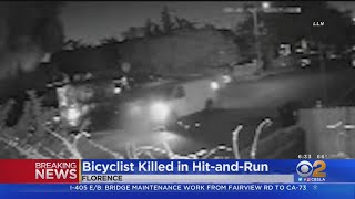 Bicyclist dies after being hit, dragged by van in Florence